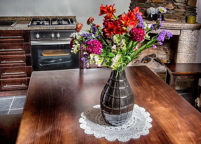 度假居 Casas Peralta - Leira Pereira Cabreiros